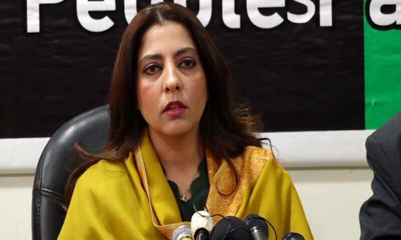 عطاء تارڑ کا لب و لہجہ کسی مہذب شخص جیسا نہیں، پلوشہ  خان