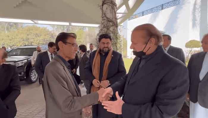 PML-N accedes MQM’s demand regarding constitutional amendment 