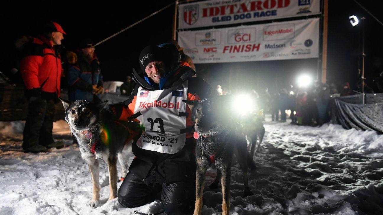 Iditarod musher kills moose after run-in with dog