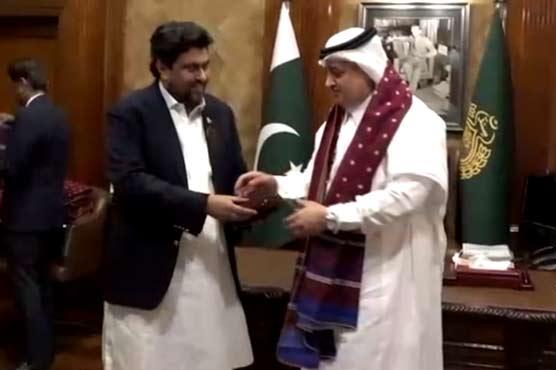 Governor Sindh discusses important issues with Saudi delegation