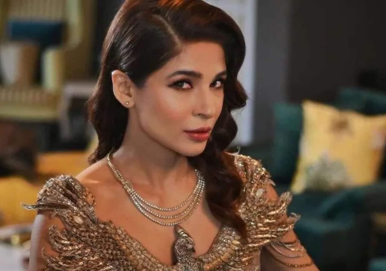 Ayesha Omar’s big announcement on women day 