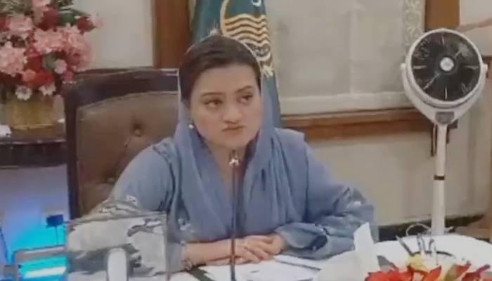 پنجاب حکومت کا جون سے پلاسٹک بیگز کے استعمال پر پابندی لگانے کا فیصلہ