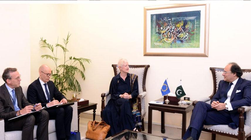 EU assures continued support to Pakistan for economic agenda