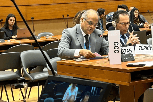 Efforts to combat Islamophobia anchored in int’l human rights: Amb Bilal