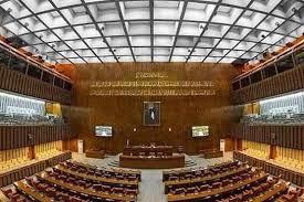 سینیٹ انتخابات : کاغذات نامزدگی کی جانچ پڑتال 19 مارچ کو ہو گی