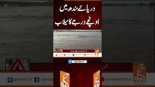 دریائے سندھ میں اونچے درجے کا سیلاب #gnn #latest #breaking #breakingnews