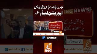 علامہ راجا ناصر عباس سینیٹ میں اپوزیشن لیڈر مقرر#gnn #news #breaking #ispr #oppositionleader #latest