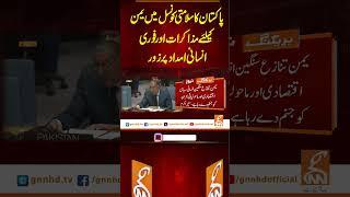 پاکستان کا سلامتی کونسل میں یمن کیلئے مذاکرات اور فوری انسانی امداد پرزور#gnn #news  #latest #update