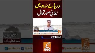 دریائے سندھ میں سیلابی صورتحال #gnn #breakingnews