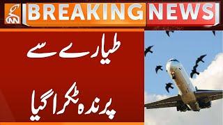 Bird Hits PIA Flight | Breaking News | GNN