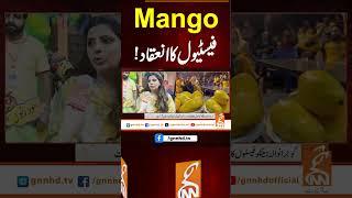 مینگو فیسٹیول کا انعقاد! #gnn #news #breaking #mangofestival #latest #updates