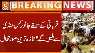 Bakra Mandi Update | Crowds, Prices & Animal Sales Before Eid ul Adha | Breaking News | GNN
