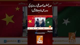 صدرِ مملکت آصف علی زرداری کی دوحہ میں اہم ملاقاتیں ! #gnn #latest #breaking  #news #updates