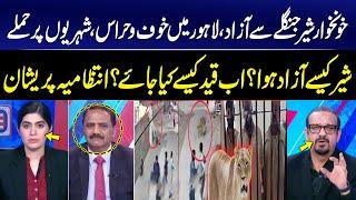 Lion Escape in Lahore! Wild Attack on Family in Residential Area | Shocking Revelation | GNN