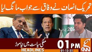 Tahreek-e-Insaf's Shocking Statement for Federation | News Headlines | 01 PM | 01 December 2025 |GNN