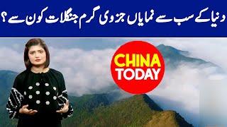 China Today | GNN | 14 October 2022 | GNN