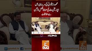 محمود اچکزئی کی سربراہی میں اپوزیشن وفد کی مولانا فضل الرحمن سے ملاقات #gnn #latest