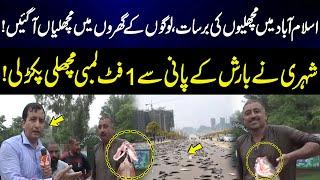 Man Catch Fish From Rain Water | Fish Rain in Islamabad? | Exclusive Scenes | GNN