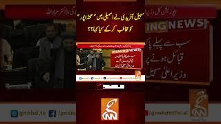 سہیل آفریدی نے اسمبلی میں "گنڈاپور" کو مخاطب کر کے کیا کہا؟؟#gnn #pakistan #sohailafridi #kpk