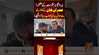 بیرسٹر گوہر حکومت کے مشکور!#gnn #news #breaking #imrankhan #pti #govt #latest #update