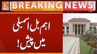 Important Bill Present in Punjab Assembly | Breaking News | GNN
