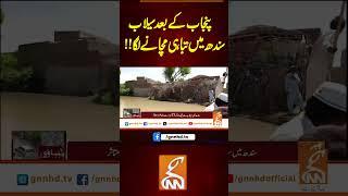 پنجاب کے بعد سیلاب سندھ میں تباہی مچانے لگا!!#gnn #latest #updates #breaking #breakingnews