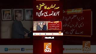 صدر مملکت کا استعفٰی؟ آخر کار تصدیق ہو گئی!!#gnn #breakingnews #headlines #pakistan