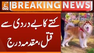 Dog brutally killed, case registered, Breaking News | GNN