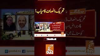 تحریک انصاف کامیاب! #gnn #news #breaking #pti #kp #senate #latest #updates