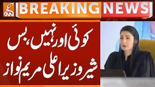 No one else, just the lion, Chief Minister Maryam Nawaz | Breaking News | GNN