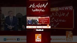 محسن نقوی کی امریکی سفیر  سے اہم ملاقات!#Gnn #Latestupdates #New #MohsinNaqvi #USAmbassador