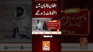افغان طالبان میں اختلافات بڑھ گئے  #gnn #latest #updates #news #newsupdates