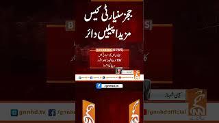 ججز سنیارٹی کیس مزید اپیلیں دائر  #gnn #breakingnews #headlines #updates  #latest #pakistan