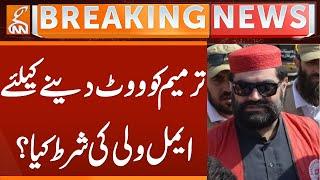 Aiaml Wali Khan's Condition to Vote for 27th Amendment | Breaking News | GNN
