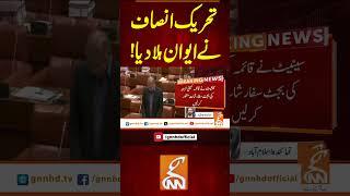 تحریک انصاف نے ایوان ہلا دیا! #gnn #news #breaking #pti #budget #shiblifaraz #latest #updates