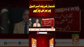 شہباز شریف اسرائیل پر برس پڑے#gnn #pakistan #shehbazsharif #israel #breaking #updates #viral #news