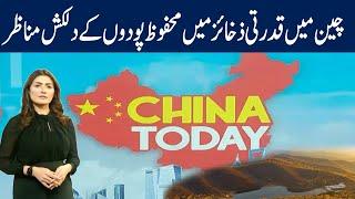 China Today | GNN | 21 October 2022 | GNN