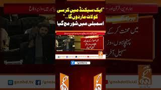 "ایک سیکنڈ میں کرسی کو لات ماردوں گا۔۔" اسمبلی میں شور مچ گیا#gnn #minister #imrankhan #pti #viral