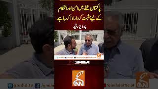 پاکستان خطے میں امن اور استحکام کے لیے مثبت کردار ادا کر رہا ہے، پرویز رشید#gnn #latest #updatesnews
