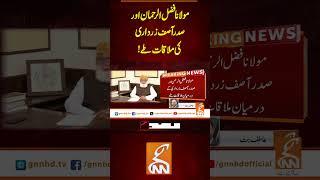 مولانا فضل الرحمان اور صدر آصف زرداری کی ملاقات طے!!#gnn #updates #latest #breaking