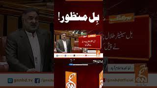 بِل منظور! #gnn #news #breaking #senate #bill #latest #updates