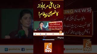 وزیراعلیٰ مریم نواز کا خصوصی پیغام! #gnn #news #breaking #maryamnawaz #cmpunjab #latest #updates