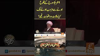 ۹محرم کوسورج کے طلوع ہونے سے غروب ہونے تک کیاحالات وواقعات تھے؟#GNN