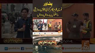 پشاور : نویں محرم کا مرکزی جلوس روایتی راستوں پر رواں دواں#gnn #muharram #9muharram