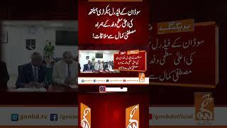 سوڈان کے فیڈرل سیکرٹری ہیلتھ کی اعلیٰ سطح وفد کے ہمراہ مصطفیٰ کمال سے ملاقات!#Gnn #Latestupdates