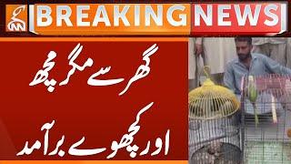 Crocodile and Turtle Recovered from House | Breaking News | GNN