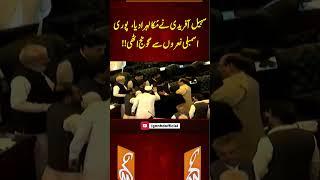 سہیل آفریدی نے مُکا لہرا دیا،  پوری اسمبلی نعروں سے گونج اٹھی!!#gnn #pakista #imrankhan #pti #viral