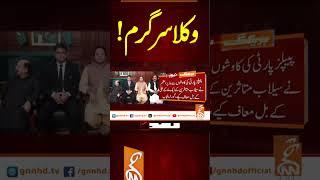 وکلا سر گرم! #GNN #BreakingNews #NewsUpdates #GNN_Updates