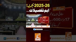 2025-26بجٹ!اہم تفصیلات۔۔ #gnn #news #breaking #budget #latest #update