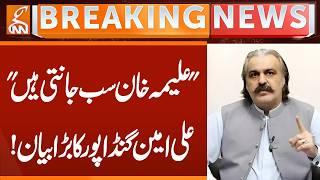 Aleema Khan knows everything, says Ali Amin Gandapur | Breaking News | GNN